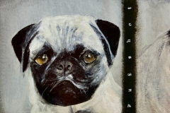 Pug Shot