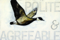 a canadian goose